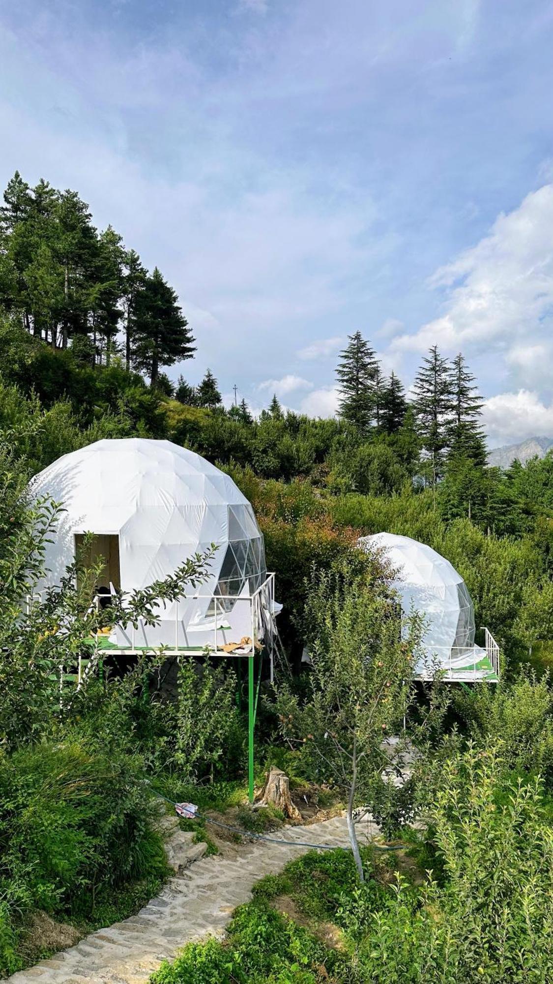 Fayul Retreat - India Highest Glamp And Ecoluxury Stay Kalpa Εξωτερικό φωτογραφία